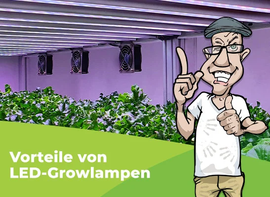 Vorteile einer LED Grow Lampe - LED-Growlampen: Alles was du wissen musst
