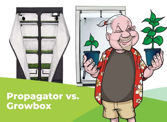 Unterschied Growbox und Anzuchtbox (Kurz und knapp) - Unterschied zwischen Growbox und Anzuchtbox