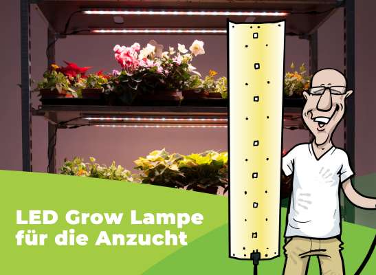 Welche LED Grow Lampe eignet sich für die Anzucht? - Welche LED Grow Lampe für die Anzucht?