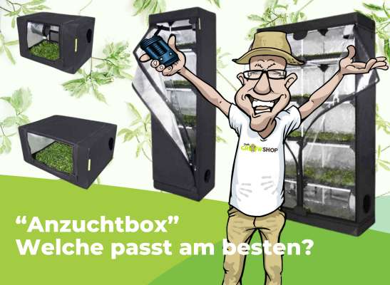Wir helfen dir, die passende Anzuchtbox zu finden - Wir helfen dir, die passende Anzuchtbox zu finden