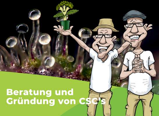 Begleitung und Beratung bei CSC-Gründungen - Begleitung und Beratung bei CSC-Gründungen