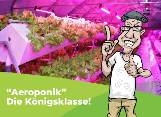 Was ist ein aeroponisches System? - Was ist ein aeroponisches System?