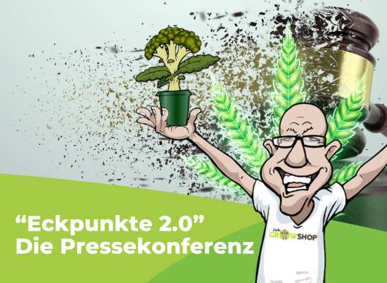 Eckpunkte 2.0 der Entkriminalisierung in Deutschland – Eigenanbau und Modellversuch - Eckpunkte 2.0 der Entkriminalisierung in Deutschland