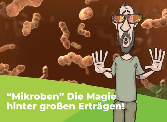 Die Rolle der Mikroorganismen bei der Nährstoffaufnahme deiner Pflanzen - Wie können Mikroorganismen helfen den Boden zu düngen?