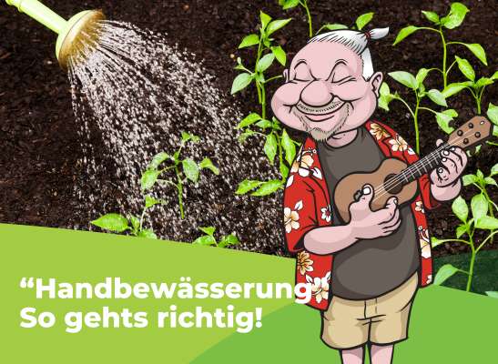 Wie gießt man am besten? Grundlagen erklärt. - Wie gießt man am besten? Grundlagen einfach erklärt.