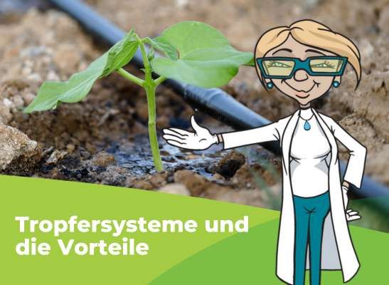 DIY-Tropfbewässerung selber bauen - Tropfbewässerung selber bauen