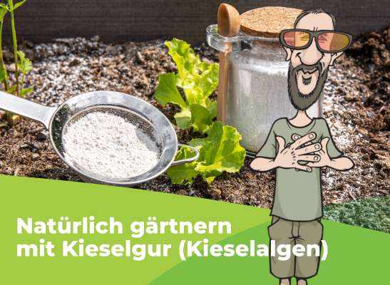 Kieselgur zur Bodenverbesserung und Schädlingsbekämpfung - Kieselgur zur Bodenverbesserung und Schädlingsbekämpfung