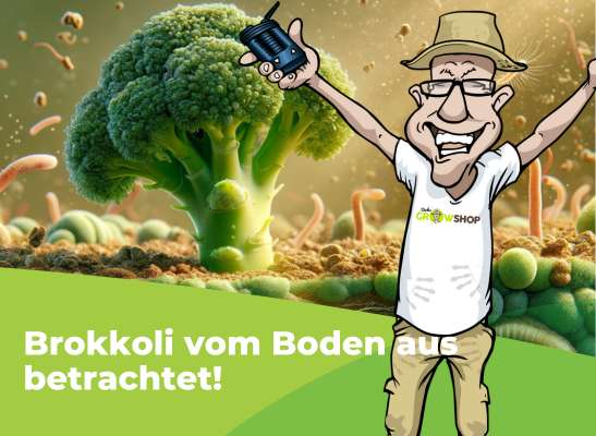 Wie Mikroorganismen das Wachstum beeinflussen - ein-einblick-in-die-welt-der-nützlings-biologischen-produkte