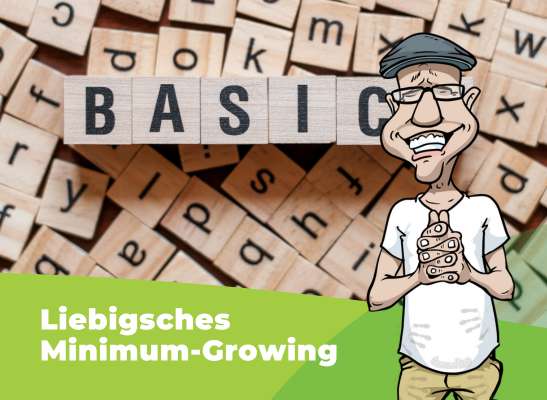 Home Grow am Prinzip des Liebigschen Minimalismus orientiert - Home Grow am Prinzip des Liebigschen Minimalismus orientiert