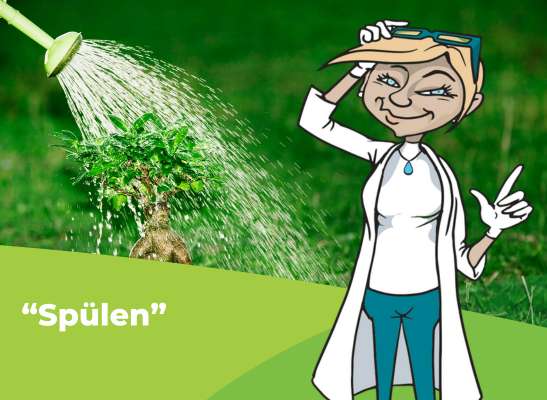 Wie du deine Pflanzen richtig spülst - Wie du deine Pflanzen richtig spülst