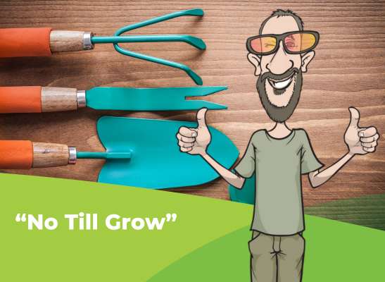 Wie du in der Growbox das Prinzip des No Till Farming anwendest - Das Prinzip des "No Till Farming" | Growblog