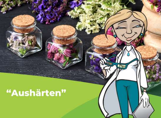 Wie du die Blüten aushärtest - Wie du die Blüten aushärtest