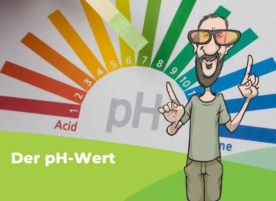 Was ist der beste pH-Wert für deine Pflanzen? - Der beste pH-Wert für Pflanzen: Optimaler Bereich und Tipps zur pH-Anpassung