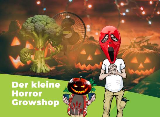 Halloween Sonderedition: Der  kleine Horror Grow Shop - Grow Grusel Equipment, schreckliche Geschäftsreisen und der Alltag unseres Kundenservices