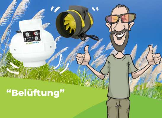 Belüftung im Fokus: Optimale Luftzirkulation für gesunde Pflanzen - Belüftung im Fokus: Tipps für perfekte Luftzirkulation.
