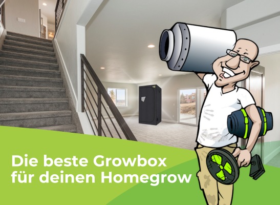 Die beste Growbox für deinen Homegrow - Growzelte & Pflanzzelte – Komplettsets & Konfigurator bei Dirk\'s Growshop