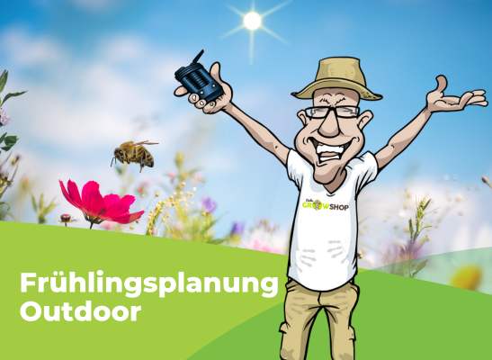 Anbaukalender: Wann setze ich die Pflanzen raus für den Outdoor Anbau? - Anzucht & Outdoor-Grow: Tipps für den perfekten Start in die Saison