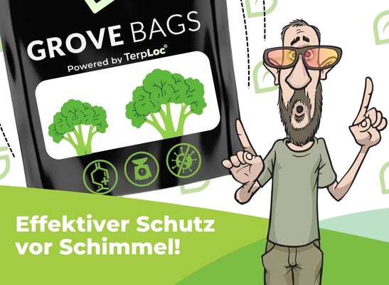 Wie funktionieren Grove Bags? - Effektiver Schutz vor Schimmel mit Grove Bags – Alles, was du wissen musst