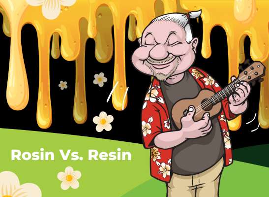 Resin vs. Rosin-Was ist was? - Resin vs. Rosin – Was ist der Unterschied?