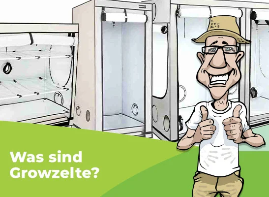 Growzelt: Worauf du beim Kauf achten solltest! - Growzelt: Worauf du beim Kauf achten solltest!