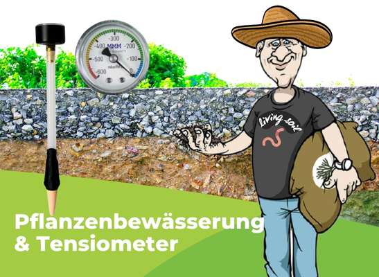 Pflanzenbewässerung und Tensiometer – Hand in Hand mit Living Soil - Living Soil & Tensiometer – Präzise Pflanzenbewässerung