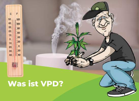 VPD, Luftfeuchtigkeit & Temperatur: Optimales Klima für deinen Grow - Was ist VPD - das perfekte Klima für den Eigenanbau einfach erklärt
