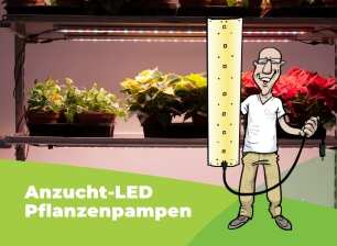 anzucht led lampe grow equipment