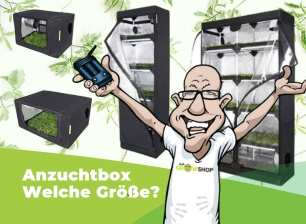 verschiedene Anzuchtboxen 