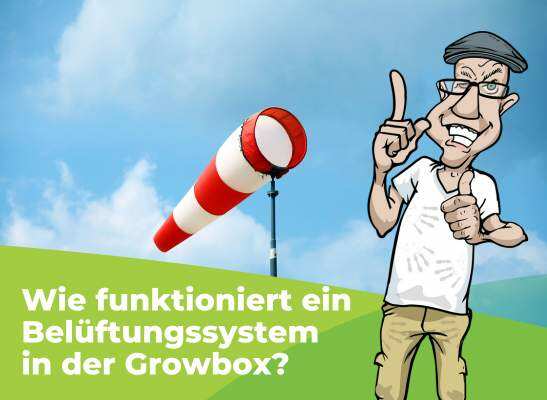 Wie funktioniert Belüftung