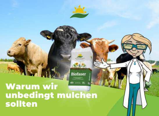 Mulchen mit Biofaser