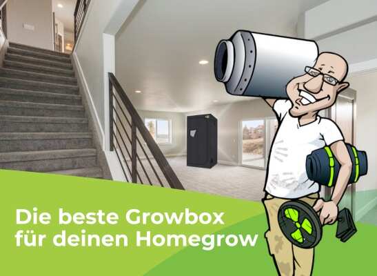 Die beste Growbox