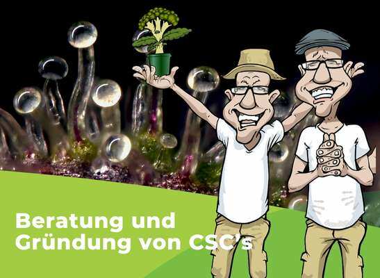 Dirk erklärt die Gründung von Cannabis Social Clubs