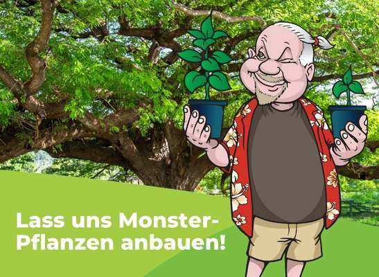 Eike erklärt wie man riesige Pflanzen macht