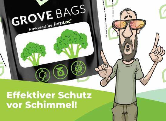 Grovebags