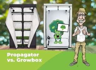 Anzuchtbox und Growbox nebeneinander