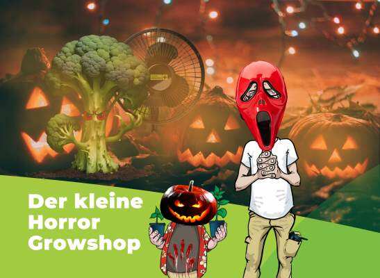 Dirk und Eike feiern Halloween