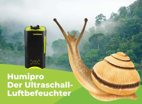 Humipro Humidifier für kleine Räume