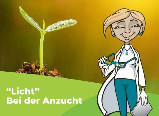Mrs.X steht vor einem Bild von einem Saemling