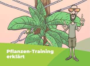 Everest erklärt Pflanzentraining