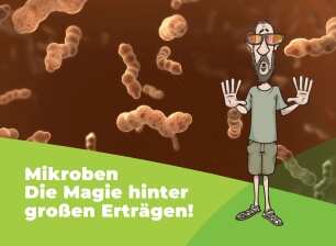 Mikroben schwimmen umher