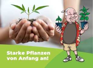 Sämling in Erde zwischen zwei Händen