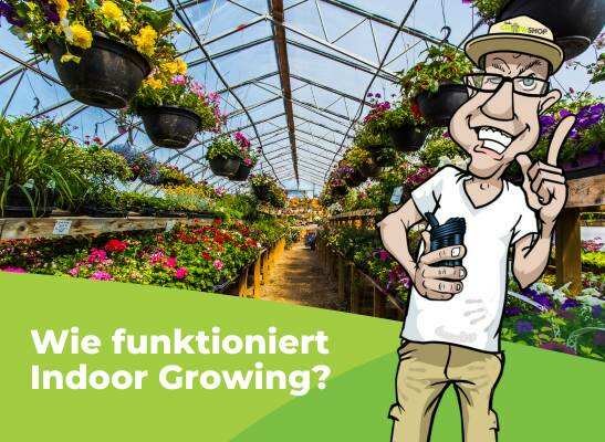Wie funktioniert Indoor Growing?