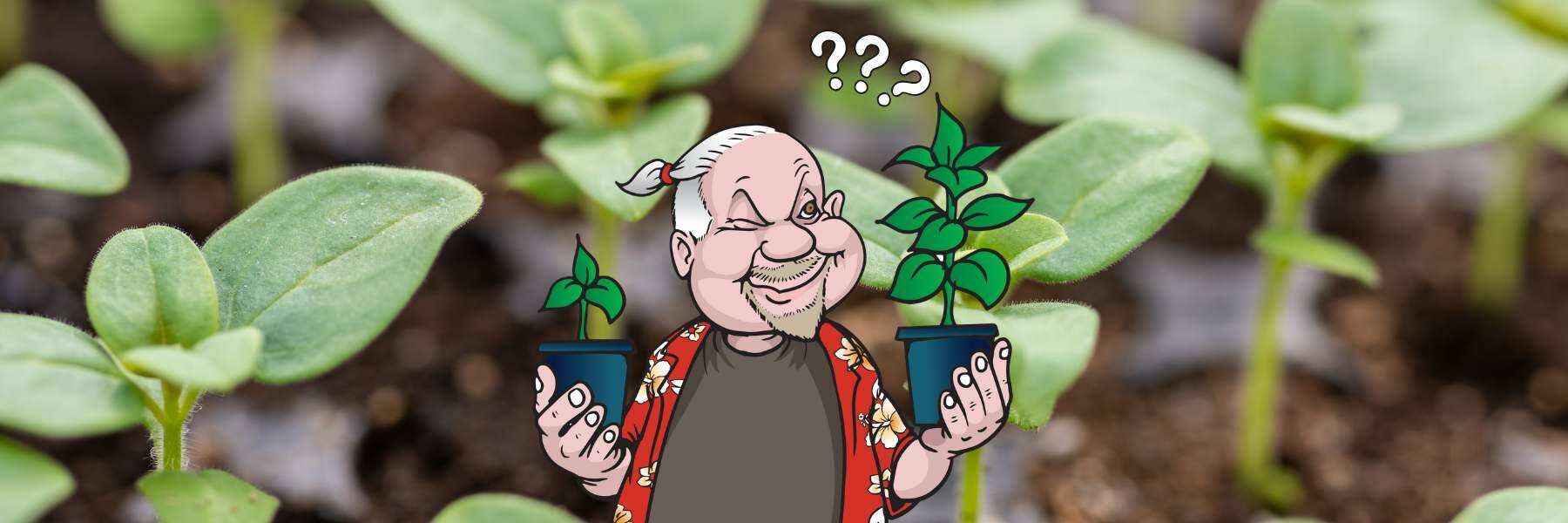 der richtige zeitpunkt im garten