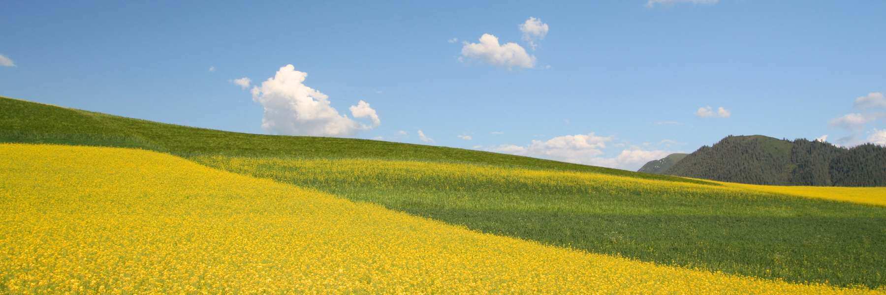 EIn Foto von einer Landschaft