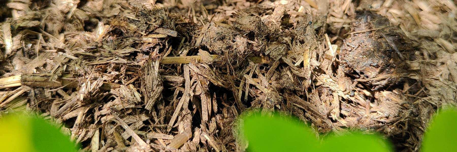 biofaser sonnenerde mulch