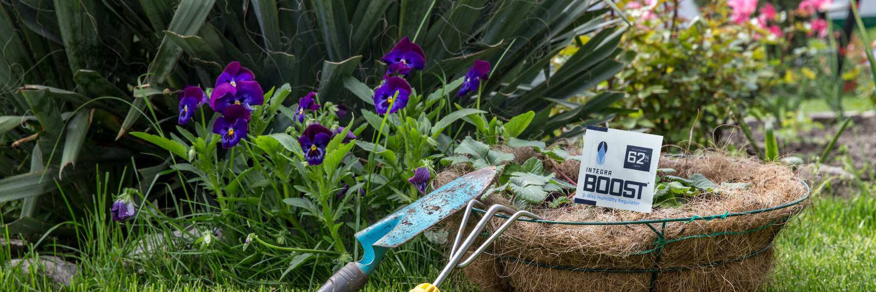 in jedem garten kommt mal ernte und lagerung