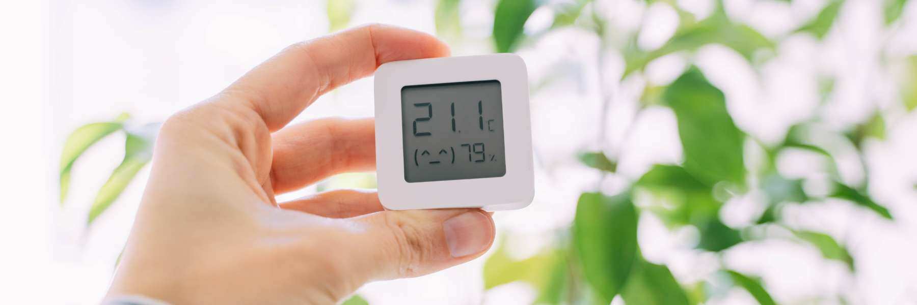 Hygrometer  zum Curen in die Gläser
