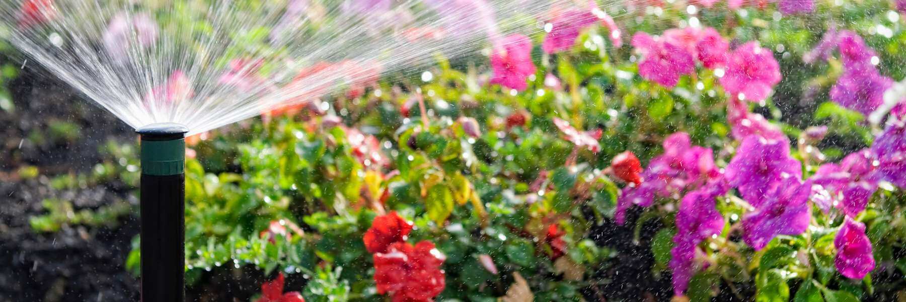 Blumen werden automatisch gewässert