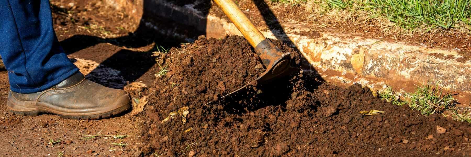 schwarzerde living soil sonnenerde