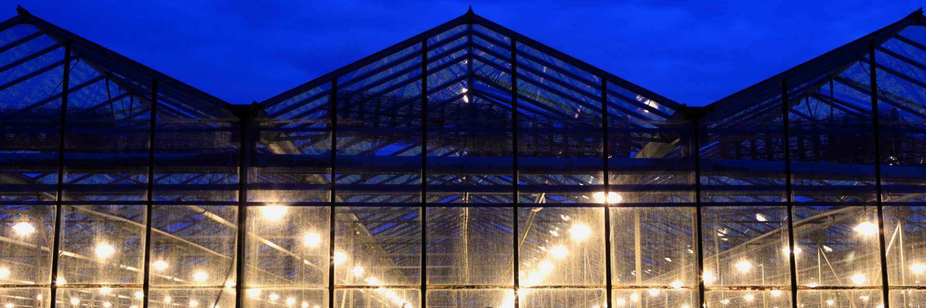 LED oder NDL